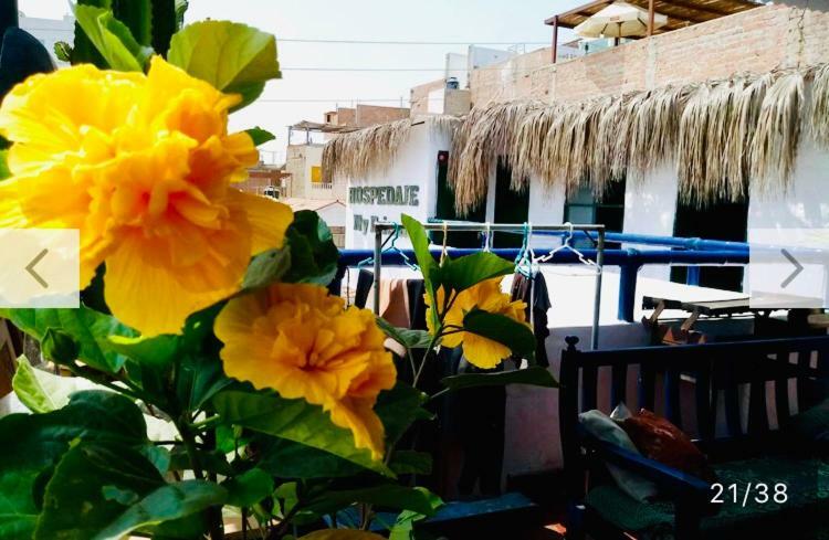 Surf Hostel My Friends Huanchaco Ngoại thất bức ảnh